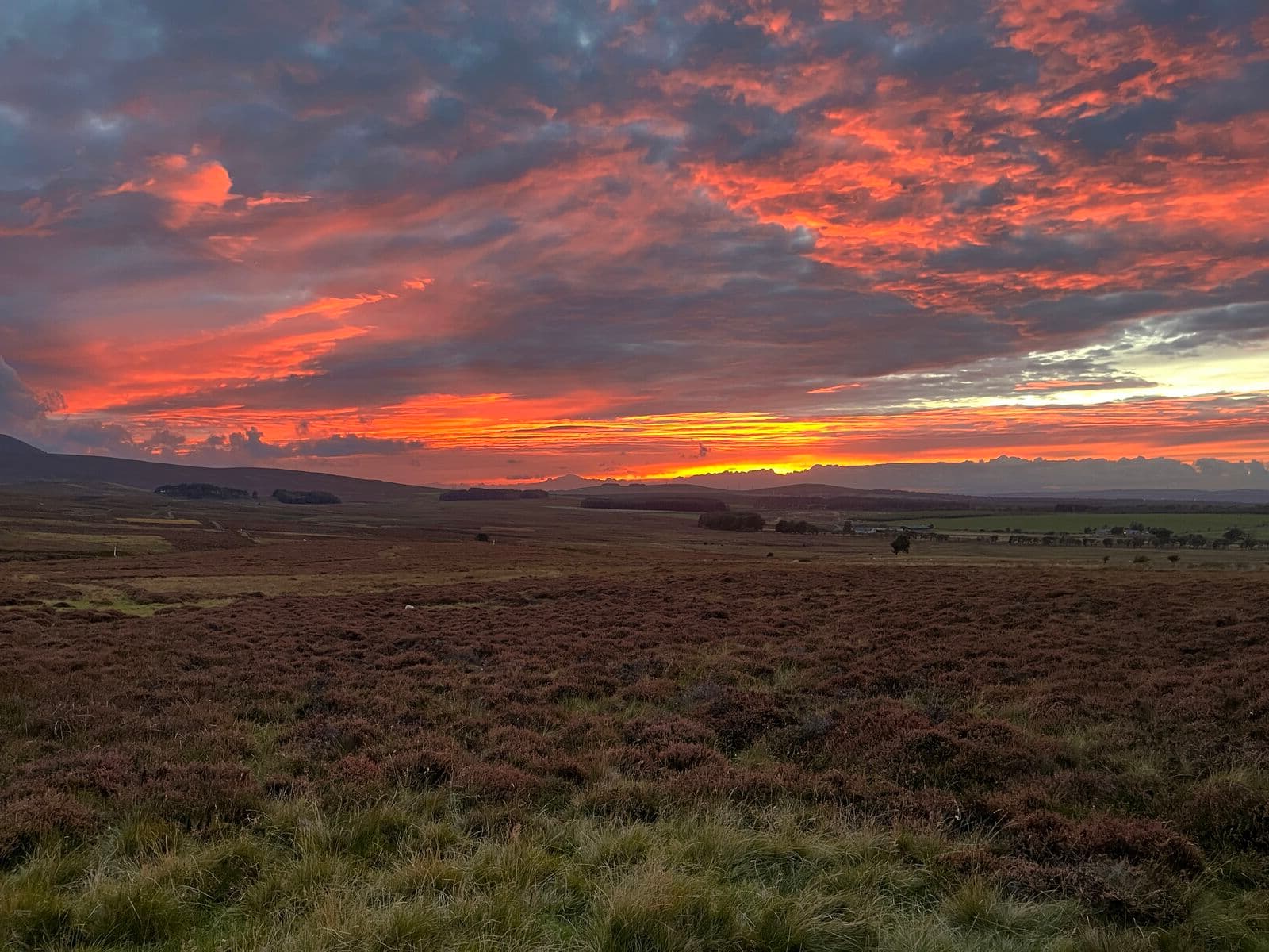Pentland Hills moorland at golden-hour sunset — rolling Calluna heather hills that give Scottish heather honey its distinctive terroir